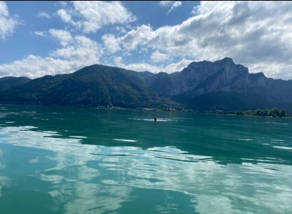 Die Feelgood-Wohnung Am Mondsee Luaran gambar